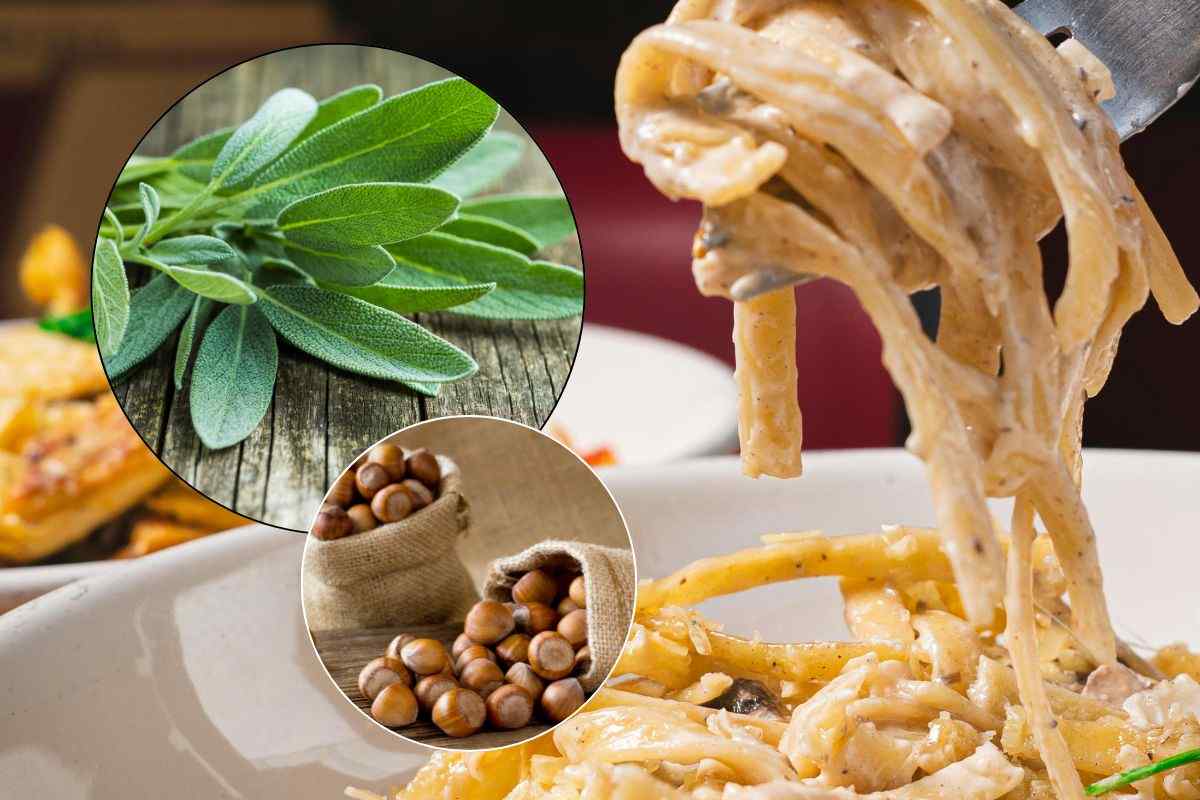 Piatto di fettuccine