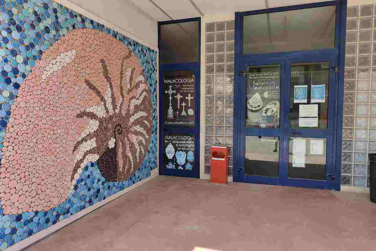 Museo malacologico in provincia di Ascoli Piceno