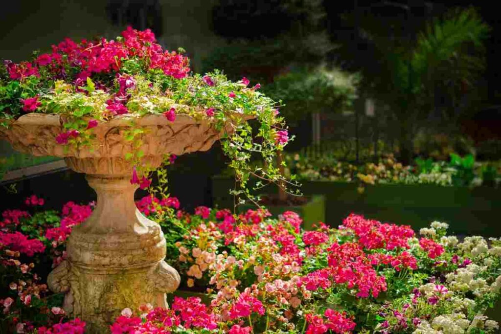 Giardino da sogno