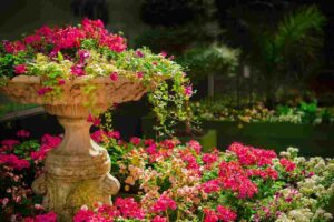 Giardino da sogno