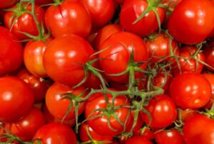 Pomodori freschi