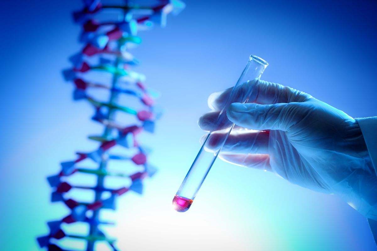 Ricostruzione del DNA