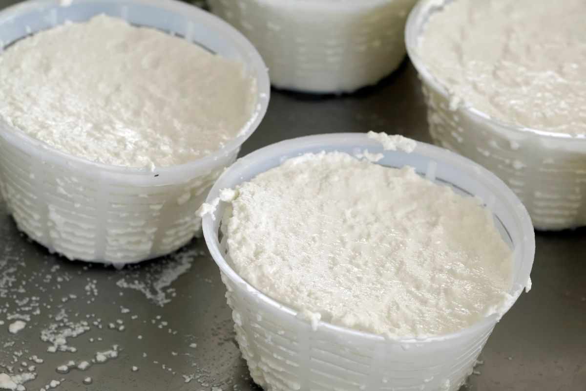 Ricotta