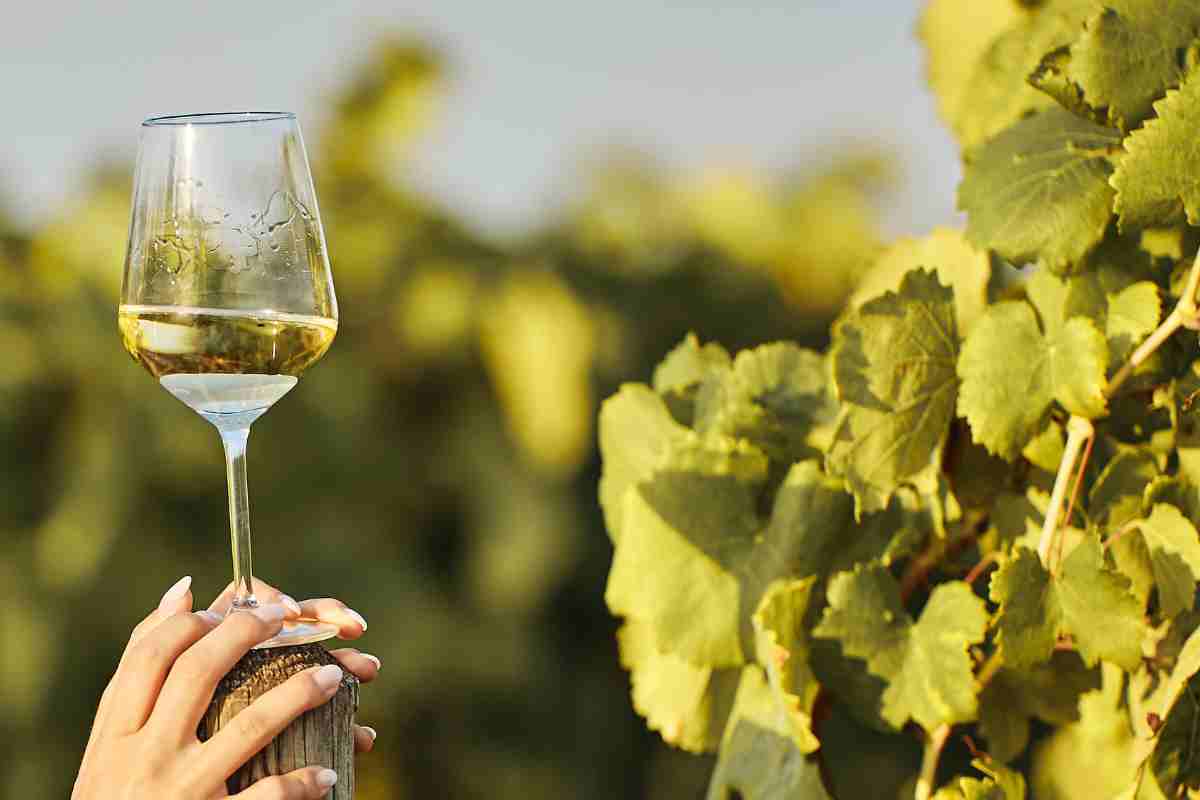 un bicchiere di vino