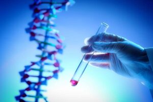 nuovi studi DNA