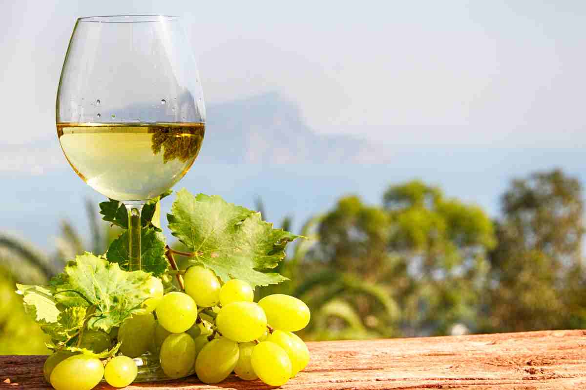 un bicchiere di vino